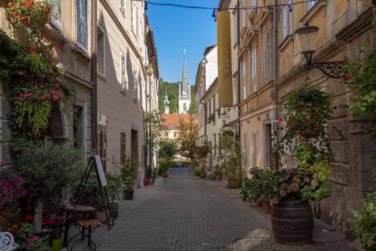 Fine Ljubljana Apartments Exterior foto